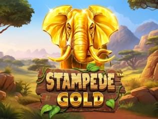 Stampede Gold game thumbnail